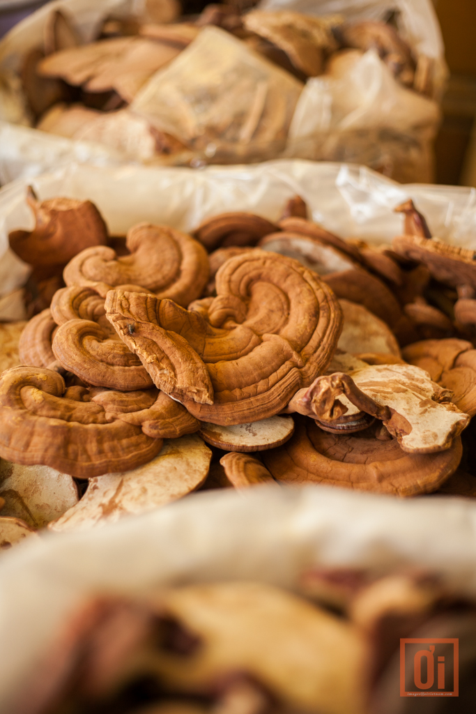 Cho Lon-Chinese Traditional Medicine-Image by Nam Quan-1