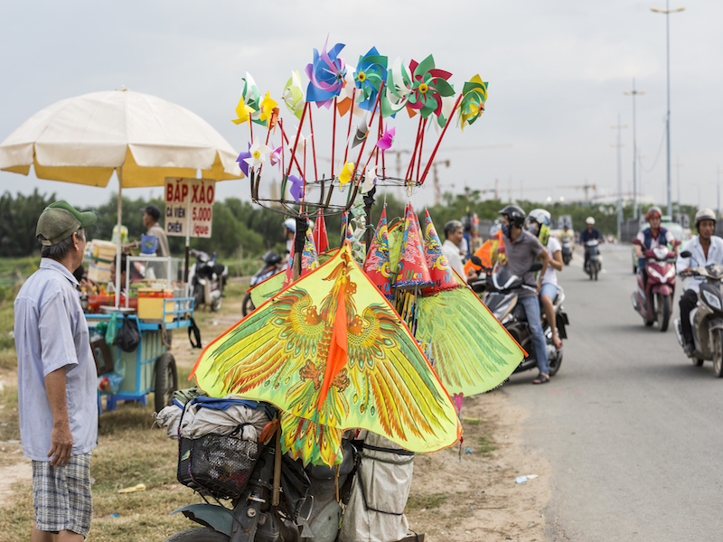 oi-vietnam-december-2014-kites-nf--7