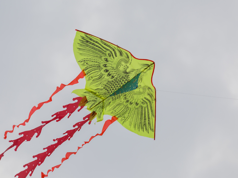 oi-vietnam-december-2014-kites-nf-_1