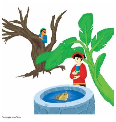 Cinderella Tam Cam - 3