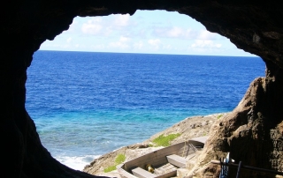 P1320790 (OiVietNam_3N)