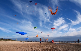 kite-festival-semaphore41