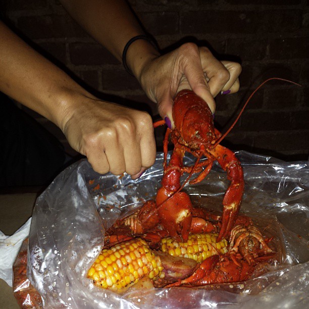 1379992_497532360343596_1836940027_n